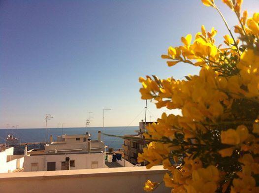 Dimora Delle Rondini Bed & Breakfast Polignano a Mare Exterior foto